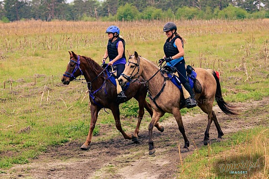 2021 Longleaf Gallop