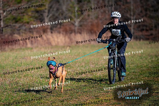 2022 Allatoona Sled Dog Dryland Challenge