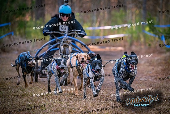 2024 Alabama Dryland Dawg Derby