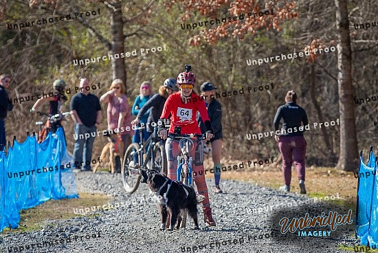 2024 Allatoona Sled Dog Dryland Challenge