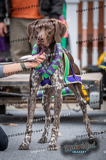 2025 Lonesome Dove Weight Pull