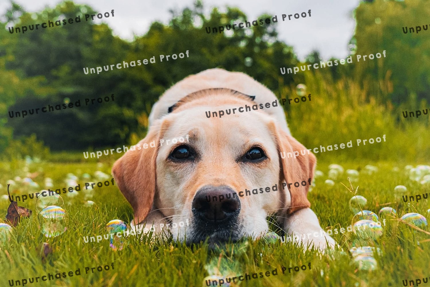 On-Site Mini Session | 613795209_860344740214881_4521471545829056994_n.jpg