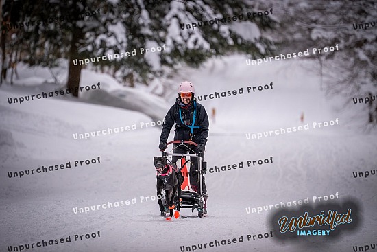 2026 Kearney Sled Dog Race